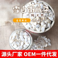 【一件代發(fā)】雪白生南瓜子外貿(mào)高品質(zhì)大白瓜子廠家直銷