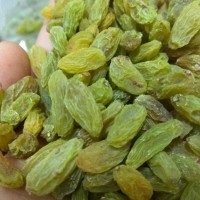 新疆吐魯番特產(chǎn)小綠葡萄干500g批發(fā)無核葡萄果干零食一件代發(fā)包郵
