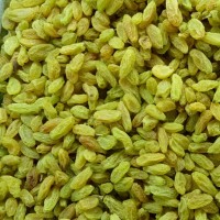 葡萄干新疆吐魯番特產(chǎn)葡萄干 無核免洗綠葡萄干500g 廠家批發(fā)包郵