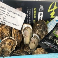 鮮活水產(chǎn) 乳 山 牡蠣 帶殼海蠣子 生蠔 新鮮好品質(zhì)