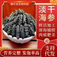 廠(chǎng)家直銷(xiāo)大連淡干海參遼參高刺海參干貨批發(fā)100g簡(jiǎn)易禮盒半干海參