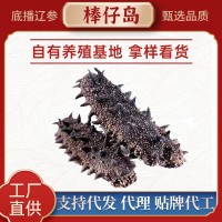 大連特產(chǎn)淡干海參大連精品海參水產(chǎn)干貨遼參刺參小海參批發(fā)500g