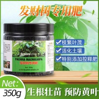 發(fā)財(cái)樹用肥料 家庭有機(jī)花肥 山東廠家批發(fā) 可用于黃葉爛根復(fù)合肥