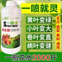 200g黃葉死苗一噴綠保花保果葉面肥果蔬氨基酸腐植酸葉面肥營(yíng)養(yǎng)液