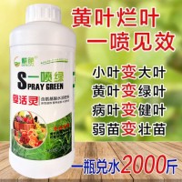 500g黃葉死苗一噴綠保花保果葉面肥果蔬氨基酸葉面肥腐植酸營(yíng)養(yǎng)液