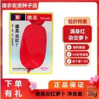 德高炎紅蘿卜種子 雜交蘿卜種子 滿(mǎn)身紅 耐高溫耐濕 55天可采收
