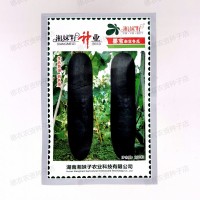 湘妹子冬瓜種子墨寶冬瓜特大黑皮冬瓜種子肉質(zhì)致密耐貯中熟黑皮