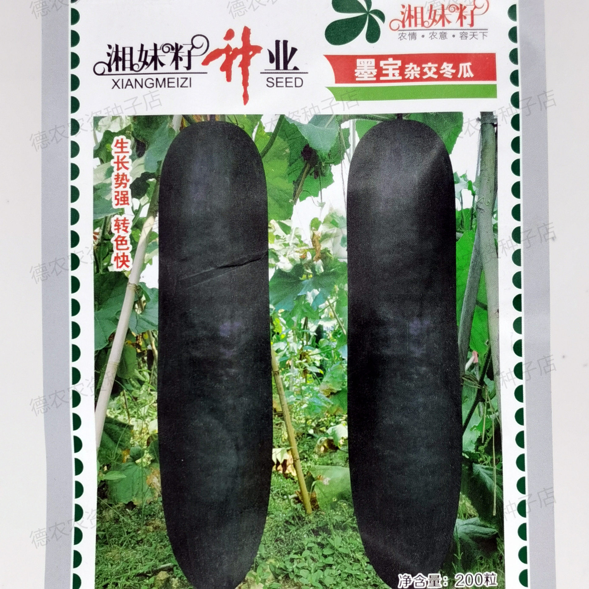 湘妹子墨寶正面11_副本