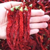 二荊條干辣椒微辣特香貴州四川特產(chǎn)農(nóng)家辣椒皺椒二金條辣椒批發(fā)
