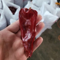 現(xiàn)貨紅不辣益都紅辣椒北京紅新疆板椒干辣椒紅油專用大量批發(fā)