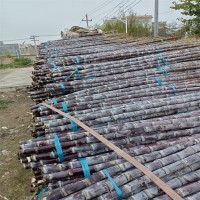 展宏 黑皮甘蔗大量供應(yīng) 脆甜多汁當季水果 清甜果蔗現(xiàn)砍現(xiàn)發(fā)