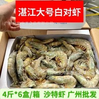 湛江水產(chǎn)大蝦 新鮮冷凍大號白對蝦 沙特蝦海鮮水產(chǎn)對蝦整箱24斤