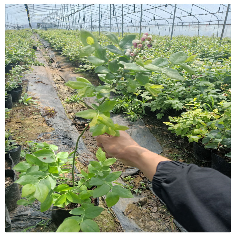 QQ圖片20190601215509.jpg