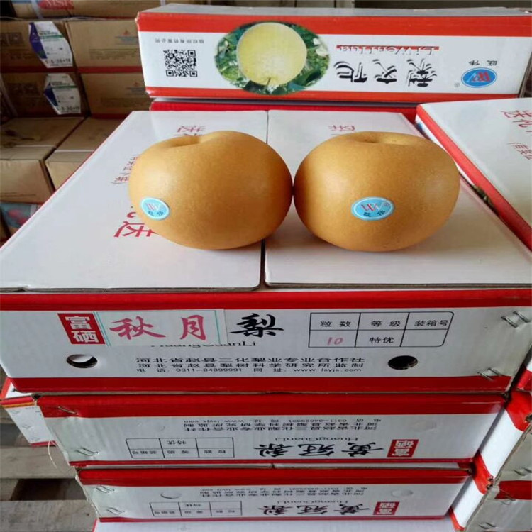 QQ圖片20180107214111.jpg