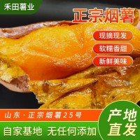 《烤薯規(guī)格》煙薯25號蜜薯糖心紅薯新鮮番薯農(nóng)家自種沙地唐山地瓜