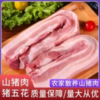 廠家直供阿文特種山豬肉豬五花現(xiàn)殺冷鏈運輸肉質(zhì)鮮嫩山豬肉豬五花