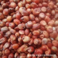 阿根廷紅高粱帶皮高粱 未脫皮釀酒釀醋原料 高粱批發(fā)袋裝凈糧批發(fā)