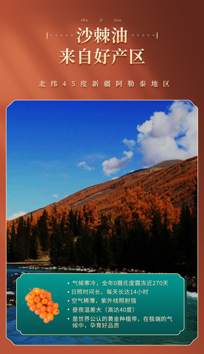 沙棘籽油詳情頁(yè)_05.jpg
