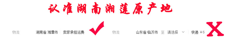 圖片二