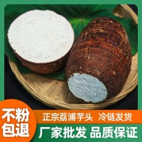 廣西荔浦芋頭新鮮粉糯香芋泥當(dāng)季現(xiàn)挖蔬菜紫藤檳榔芋毛芋廠家批發(fā)