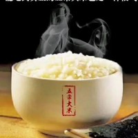 五常大米 東北 廠家批發(fā) 源頭貨源
