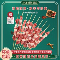 羊肉新鮮 寧夏灘羊 羊肉串 燒烤食材 生鮮肉寧夏羊肉串批發(fā) 500克