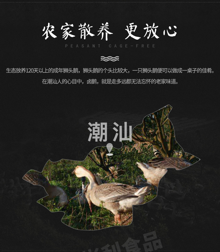 鵝掌_03.jpg