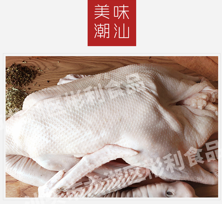 全鵝-小_07.jpg
