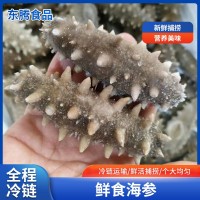 現(xiàn)貨即食海參 遼刺參新鮮鮮活冷凍海參禮盒非干貨野生廠(chǎng)家批發(fā)