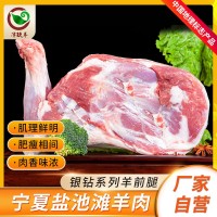 寧夏津玖羊 鹽池灘羊生羊前腿排食材半成品羊肉 批發(fā)