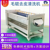 現(xiàn)貨全自動(dòng)土豆去皮機(jī) 食品廠馬蹄清洗機(jī) 商用紅薯清洗去皮機(jī)