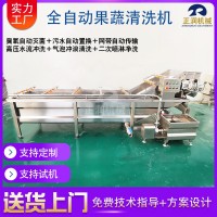 現(xiàn)貨全自動(dòng)蔬菜清洗機(jī) 果蔬清洗風(fēng)干流水線 商用氣泡洗菜機(jī)