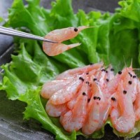 水族館海洋動(dòng)物餌料（南極鱗蝦）