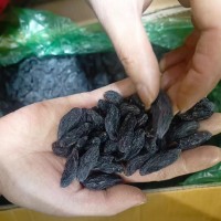 大顆粒新疆黑美人葡萄干零食小吃休閑食品干果無核葡萄干散貨