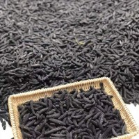 易芝堂愛(ài)琴海希臘冰島土耳其海參米黑刺參淡干100頭海參干貨批發(fā)