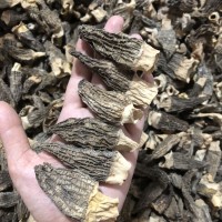 整個(gè)羊肚菌批發(fā)250g羊肚蘑菇菌鮮煲湯食用菌種羊肚菌干貨菌菇湯包
