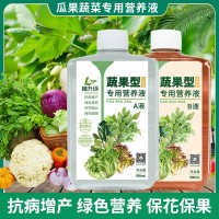 果蔬植物營養(yǎng)液AB液葉菜瓜果類家用園藝蔬菜專用營養(yǎng)液促花保果實