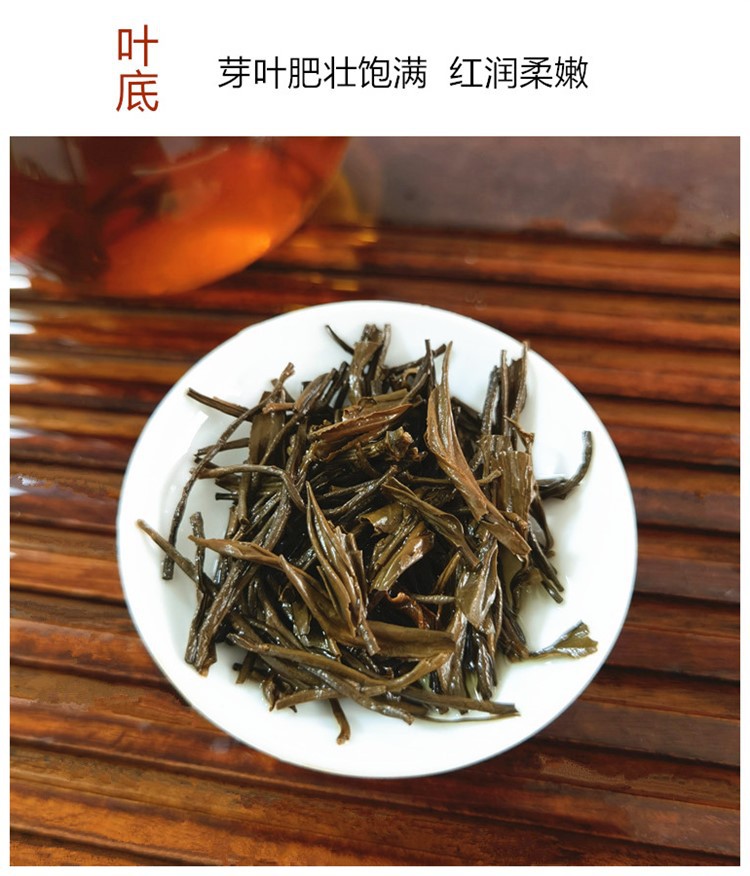 葉底.jpg
