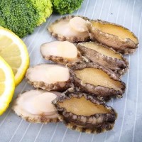 批發(fā)鮑魚肉 熟凍鮑魚肉冷凍即食鮑魚肉去殼去肚鮑魚 酒店餐飲食材