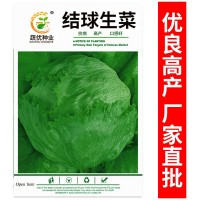 廠家批發(fā)菜園蔬菜種子 結(jié)球西生菜約2000粒 盆栽陽臺院子種子菜籽