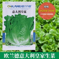 歐蘭德意大利皇家生菜種子批發(fā)半結(jié)球緊湊直立生菜種菜籽支持代發(fā)