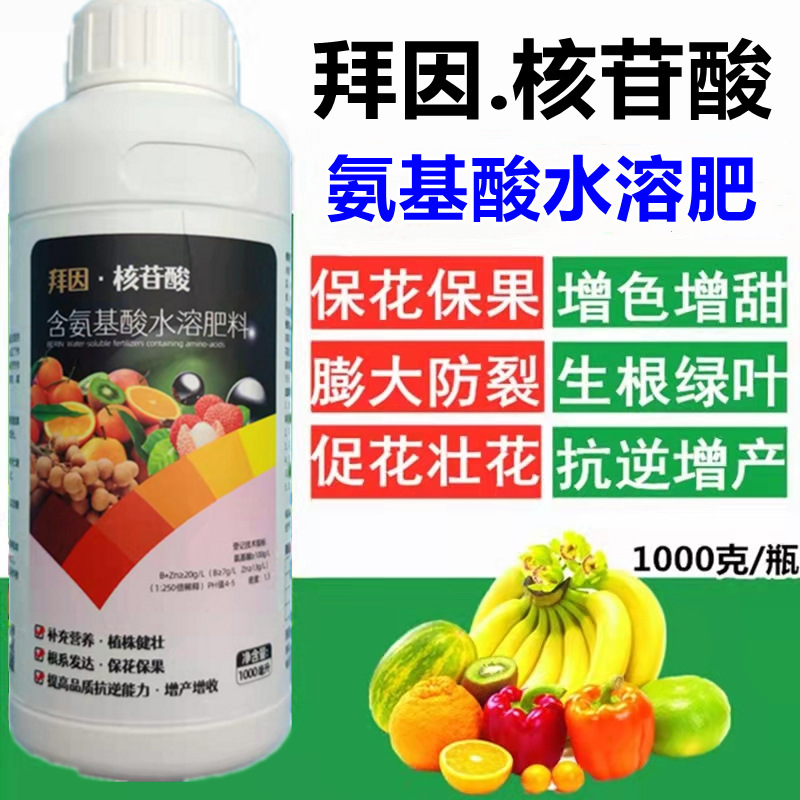 核苷酸主圖1