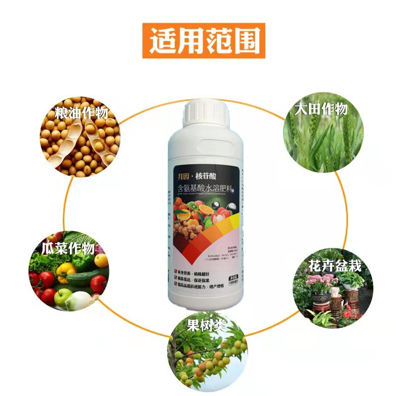 核苷酸主圖3