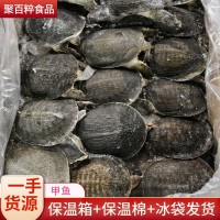冷凍甲魚(yú)批發(fā) 小甲魚(yú)批發(fā) 麻辣甲魚(yú)五香甲魚(yú)鹵甲魚(yú) 鱉 王八下酒菜