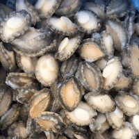 鮑魚肉批發(fā)去殼處理冷凍鮑魚粒東山島海鮮產(chǎn)地直發(fā)可一件代發(fā)