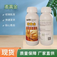 互惠呵護麥黃金 微量元素水溶肥 麥株生長健壯 葉片濃綠 根系發(fā)達