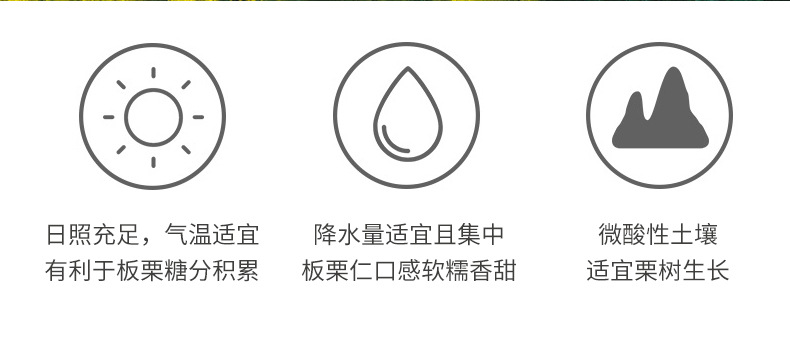 板栗仁詳情頁(yè)80原味_08