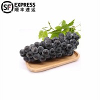 5斤順豐云南夏黑葡萄整串應(yīng)季新鮮無(wú)籽葡萄現(xiàn)摘葡萄多汁水果整箱