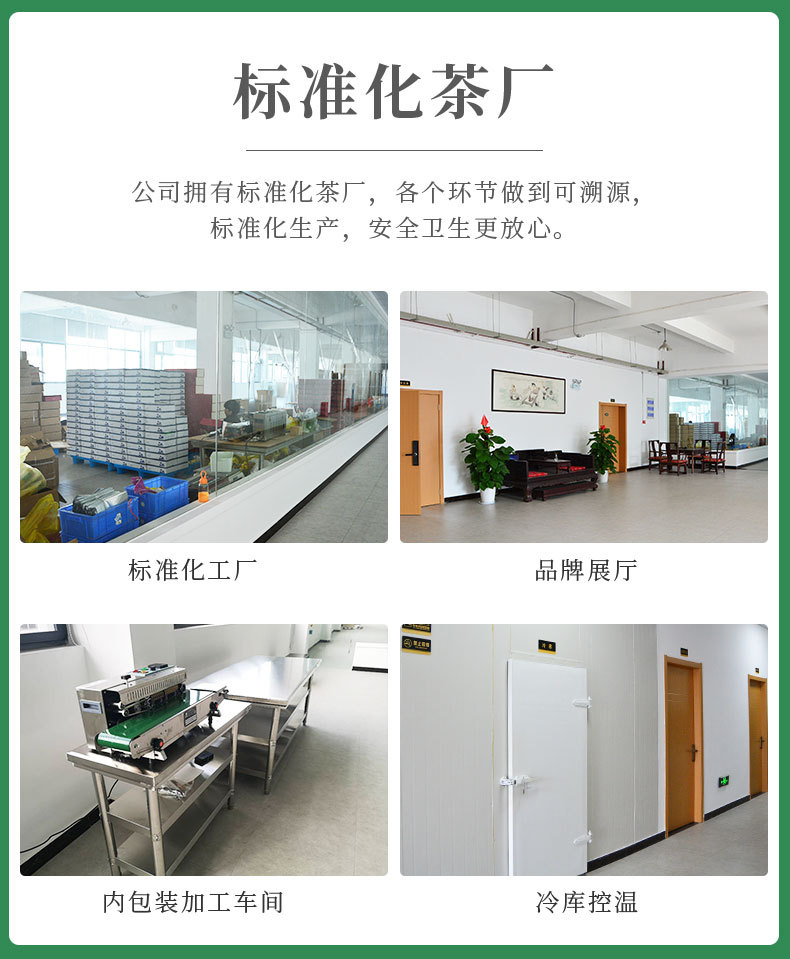 龍井茶模版(1)_11