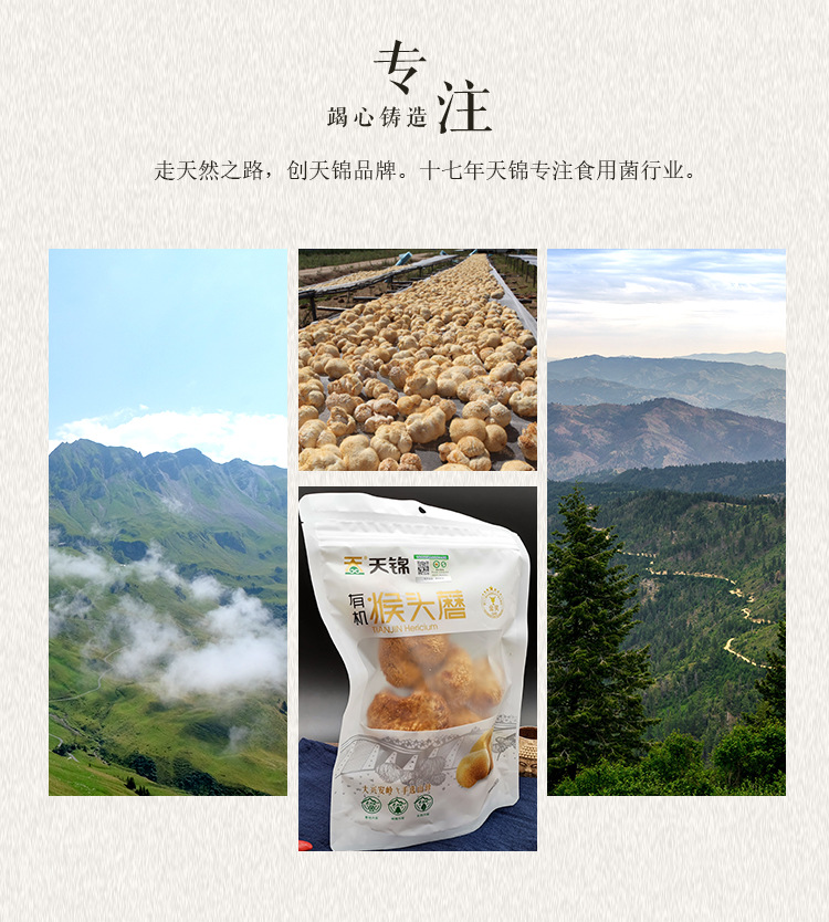 山水系列-猴頭菇_04.jpg